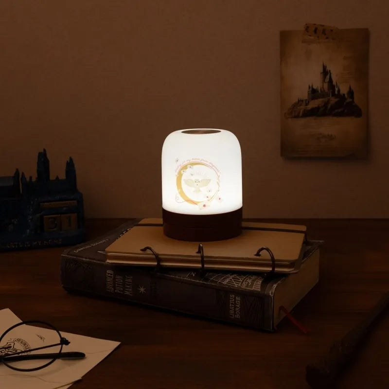 Harry Potter belaidė USB-C LED naktinė lempa vaikams su reguliuojamu ryškumu