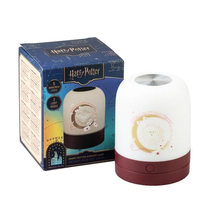 Harry Potter belaidė USB-C LED naktinė lempa vaikams su reguliuojamu ryškumu