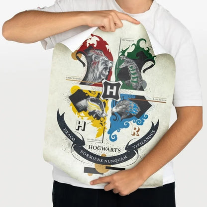 Harry Potter – dviejų sieninių plakatų rinkinys (38 x 52 cm)