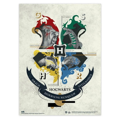 Harry Potter – dviejų sieninių plakatų rinkinys (38 x 52 cm)