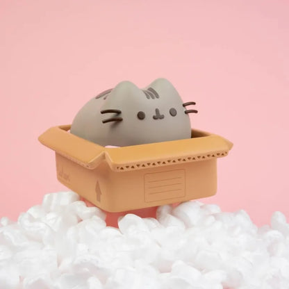Pusheen – Kawaii vinilinė taupyklė