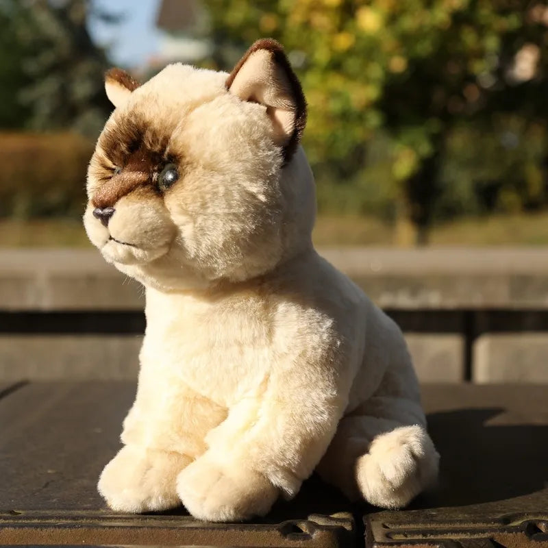 Rappa – pliušinis tikroviškas žaislas Ragdoll katė sėdinti, 23 cm, Eco-Friendly Soft Collection