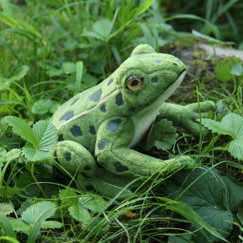 Rappa – tikroviškas pliušinis žalias varliukas, 19 cm, Eco-Friendly